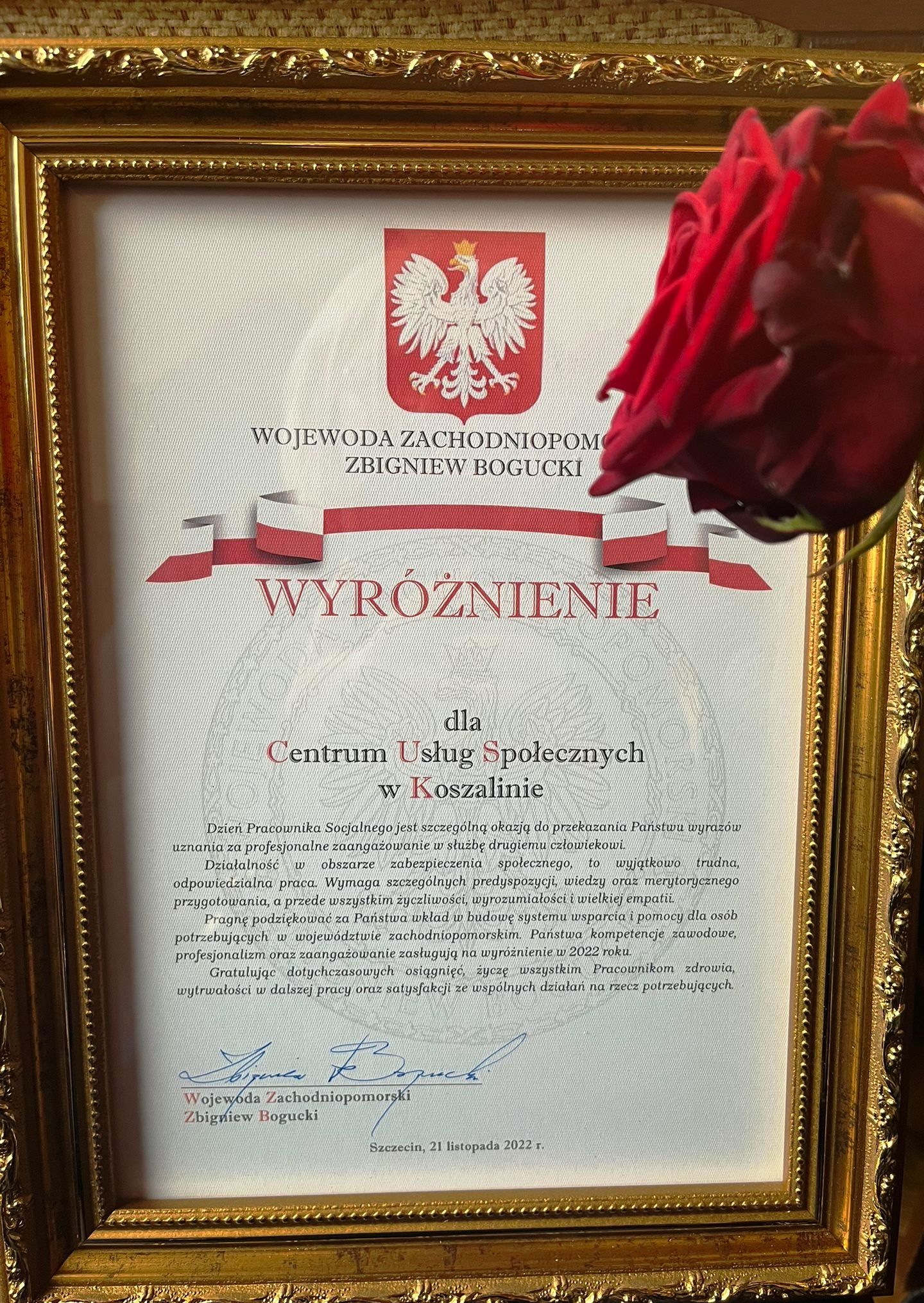 Wyróżnienie Wojewody oprawione w złotą ramę